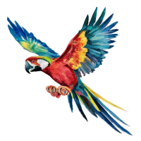 Parrot